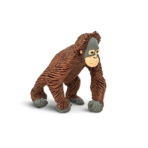 Safari Ltd. Wild Wildlife Orang-Utan Baby von Safari