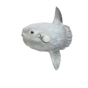 Safari Ltd. 228029- Mondfisch - handbemalte Sammelfigur von Safari Ltd.