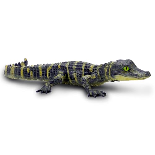 Safari Ltd. Alligator-Babyfigur | 4,5“ Detaillierte und realistische Spielzeugfigur | Ungiftig und BPA-frei | Geeignet für Kinder ab 3 Jahren von Safari Ltd.