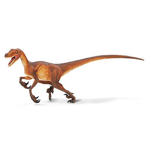 Safari Ltd. Velociraptor 20,3 cm | Dinosaurier Figur | ungiftig und BPA-frei | Geeignet für Kinder ab 3 Jahren von Safari Ltd.