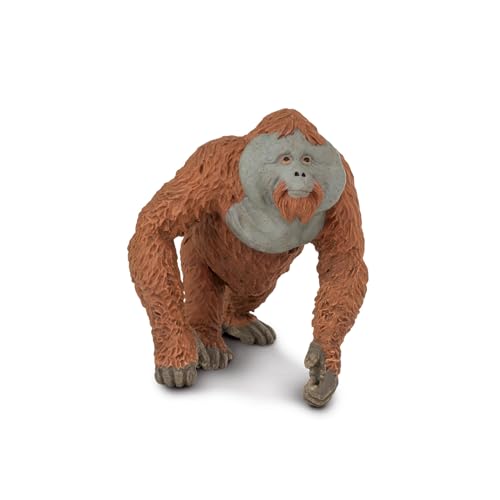 Safari Ltd. Wildlife - männlicher Orang-Utan - realistische handbemalte Spielfigur, Modell - hochwertige Konstruktion aus phthalat-, blei- und BPA-freien Materialien - ab 3 Jahren von Safari Ltd.