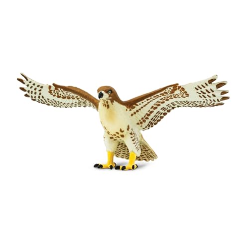 Safari Ltd. Red Tailed Hawk von Safari Ltd.