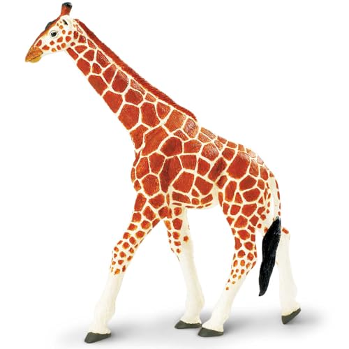 Safari Netzförmige Giraffe. Safari Netzförmige Giraffe. von Safari