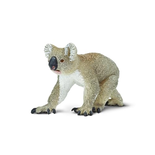 Safari WS WL Koala von Safari