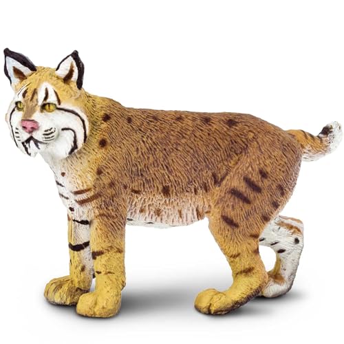 Safari Ltd. Wild Safari North American Wildlife Bobcat von Safari Ltd.