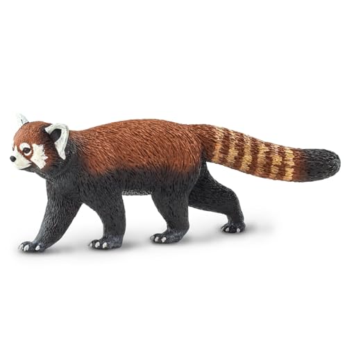 Safari Ltd. Roter Panda – Realistische 20,3 cm große Tierfigur – Lernspielzeug für Jungen, Mädchen und Kinder ab 3 Jahren von Safari Ltd.