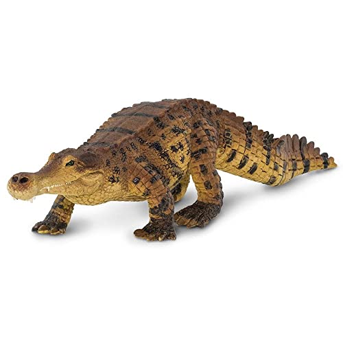 Safari Ltd. Sarcosuchus 26,4 cm | Dinosaurier-Figur | Ungiftig und BPA-frei | Für Kinder ab 3 Jahren geeignet von Safari Ltd.