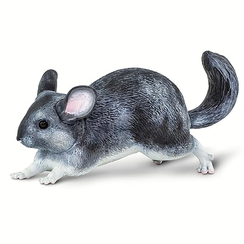 Safari Incredible Creatures Chinchilla-Figur | Ungiftig und BPA-frei | Für Kinder ab 3 Jahren geeignet Ltd von Safari Ltd.