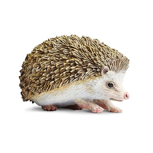 Hedgehog von Safari