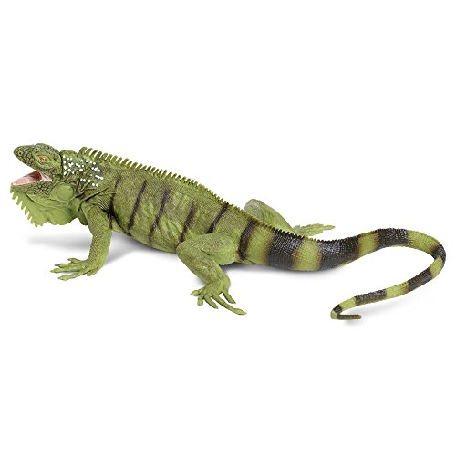 Safari Ltd. 267729 Iguana Reptilien IC Leguan-Figur, Grün/Schwarz von Safari Ltd.