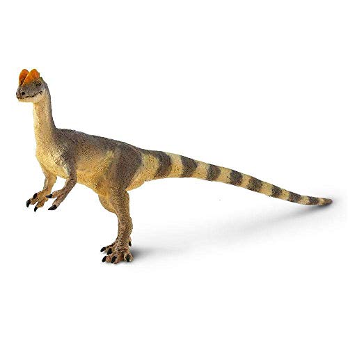 Safari Dilophosaurus Figur | 6“ Detaillierte prähistorische Figur | Ungiftig & BPA-frei | Geeignet für Kinder ab 3 Jahren Ltd von Safari