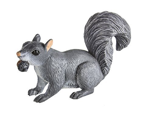 Safari Ltd Wild Safari North American Wildlife Gray Squirrel von Safari