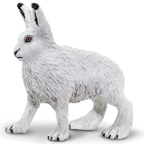 Safari Ltd. Arctic Hare – Realistic Hand Painted Toy Model – Quality Construction from Phthalat, Blei and BPA Free Materials – for Age 3 and Up von Safari