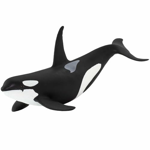 Safari Ltd. Orca 15.2cm | Figur eines Meerestiers | Ungiftig und BPA-frei | Geeignet für Kinder ab 3 Jahren von Safari Ltd.