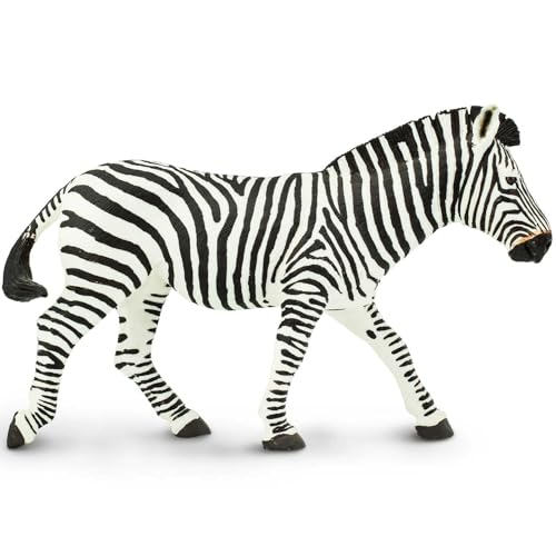 Safari Zebra von Safari