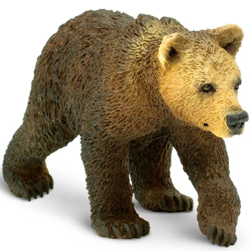 Safari s181429 Wild North American Wildlife Grizzly Bear Cub Miniatur von Safari