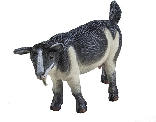 Plastoy Pygmy Nanny Ziegenfigur, realistische Kunststofffigur, 7,6 cm, Kinderspielzeug, ungiftig und BPA-frei, geeignet für Kinder ab 3 Jahren, Safari Ltd Plastoy Pygmy Nanny Ziegenfigur, realistische Kunststofffigur, 7,6 cm, Kinderspielzeug, ungiftig und BPA-frei, geeignet für Kinder ab 3 Jahren, Safari Ltd von Plastoy