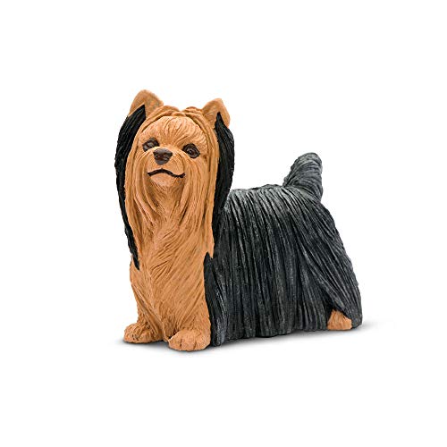 Safari s250929 Best in Show Hunde Yorkshire Terrier Miniatur von Safari