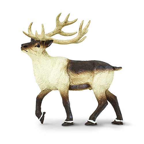 Safari Ltd. Rentierfigur – lebensechte 9,5 cm arktische Tierfigur – Lernspielzeug für Jungen, Mädchen und Kinder ab 3 Jahren von Safari Ltd.