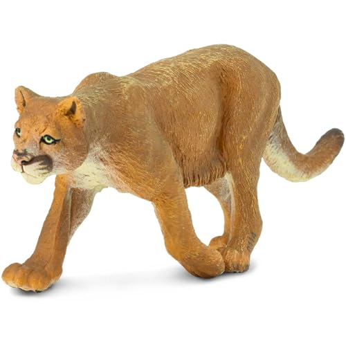 Safari s291529 Wild North American Wildlife Mountain Lion Miniatur von Safari