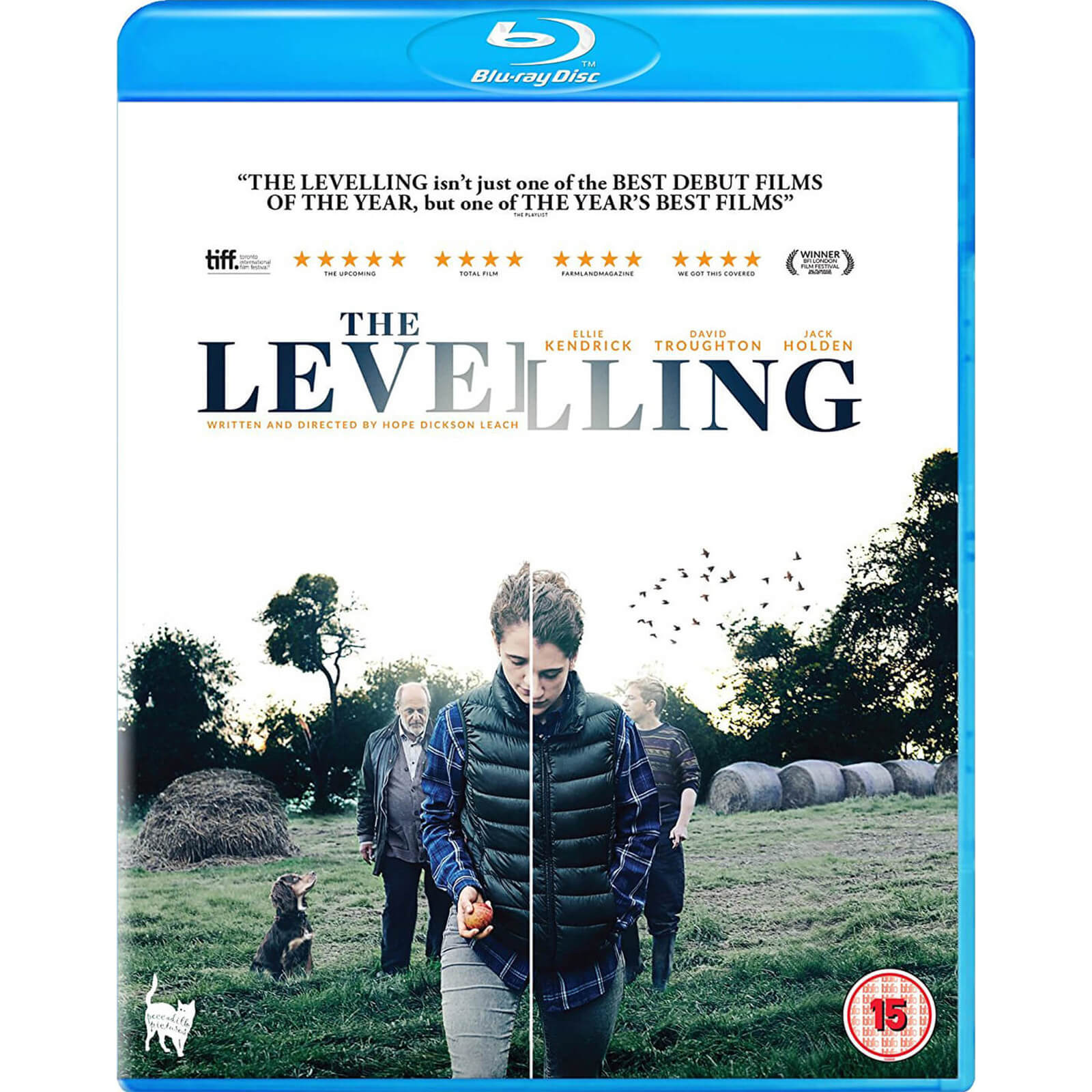 The Levelling von Saffron Hill