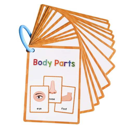 Body Parts Englische Lernkarten | Englische Körperteile Taschenkarte Lernkarte – Vorschul-Lernkarte Lernkarte Pädagogische Wörter Lernkarte für Kinder von Salyeeluly