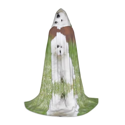 SamLng Bichon Frisé-Hundemantel mit Kapuze – perfekt für Weihnachten, Halloween, Ostern, Karnevalsparty und Cosplay-Bühnenkostüme SamLng Bichon Frisé-Hundemantel mit Kapuze – perfekt für Weihnachten, Halloween, Ostern, Karnevalsparty und Cosplay-Bühnenkostüme von SamLng