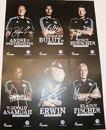 Schalke 04 FC Autogrammkarten 30 Stück von FC Schalke 04