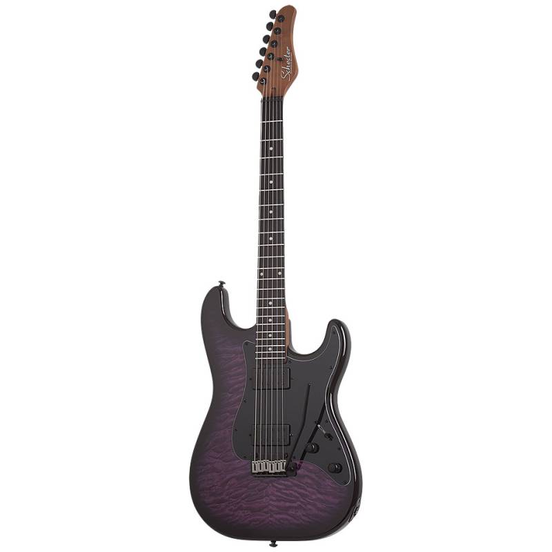 Schecter SC865 Traditional Pro TPB E-Gitarre von Schecter