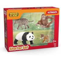 Schleich 42736 - Wild Life, Asien Starter Set, 4-teilig (Asiat.Elefantenbaby/Panda/Orang-Utan/Tigerjunges) von Schleich GmbH