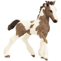 Schleich 13774 - Tinker Fohlen, Tier Spielfigur von Schleich