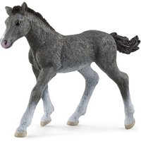 Schleich - Horse Club - Trakehner Fohlen von Schleich