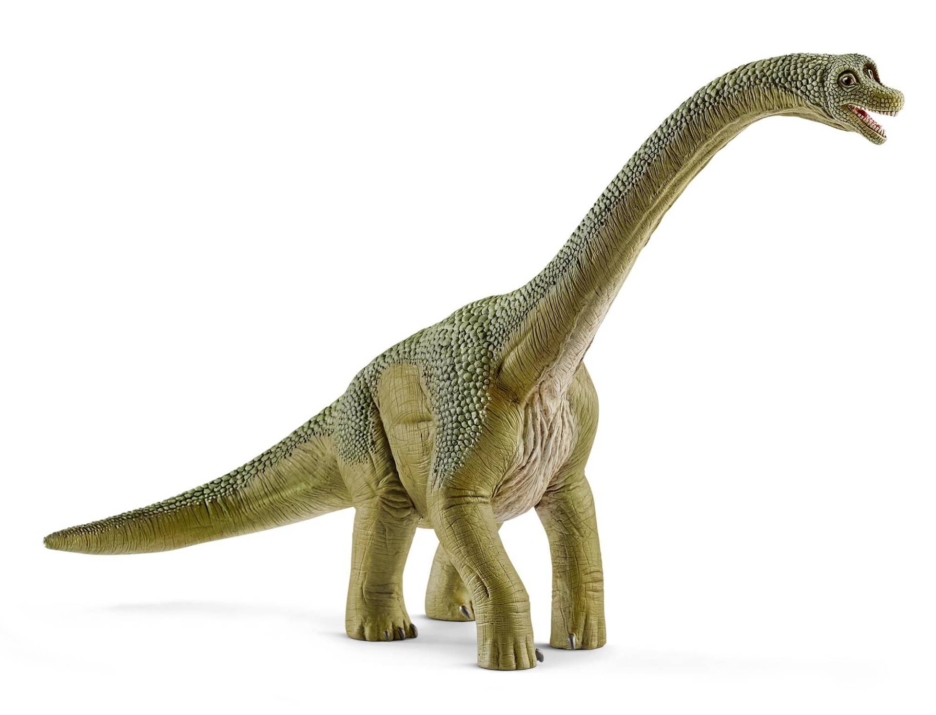 Schleich 14581 Brachiosaurus von Schleich