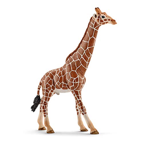 schleich WILD LIFE | Giraffenbulle 14749 | detailgetreue Tierfiguren | Zoo Spielzeug | tolles Geschenk für Jungen und Mädchen | Deko für Geburtstag | Spielfigur ab 3 Jahren | 13 x 4 x 17 cm von SCHLEICH