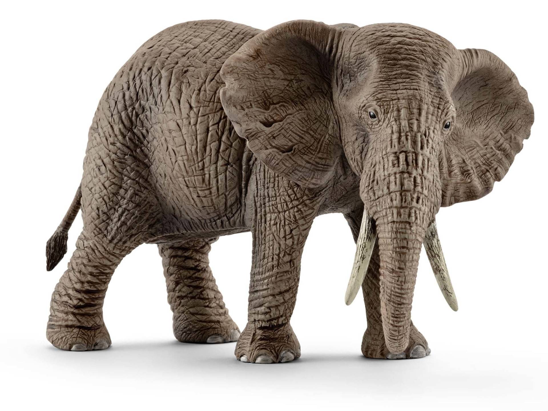 Schleich 14761 Afrikanische Elefantenkuh von Schleich