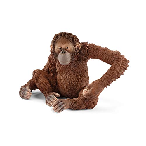 schleich 14775 Orang-Utan Weibchen, für Kinder ab 3+ Jahren, WILD LIFE - Spielfigur von SCHLEICH