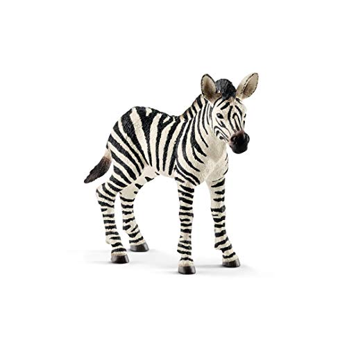 schleich WILD LIFE | Zebra Fohlen 14811 | detailgetreue Tierfiguren | Zoo Spielzeug | tolles Geschenk für Jungen und Mädchen | Deko für Geburtstag | Spielfigur ab 3 Jahren | 8 x 2 x 7 cm von SCHLEICH