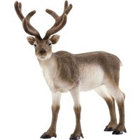 Schleich 14837 - Wild Life, Rentier, Höhe: 11,8 cm von Schleich GmbH