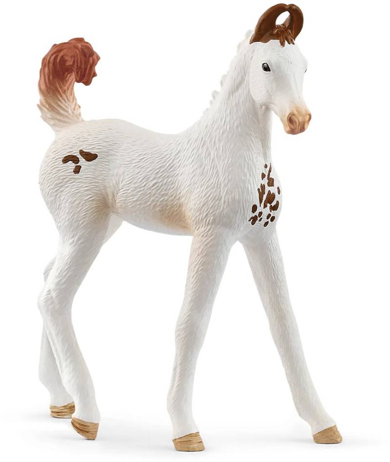 Schleich 14896 Horse Club Marwari Fohlen von Schleich