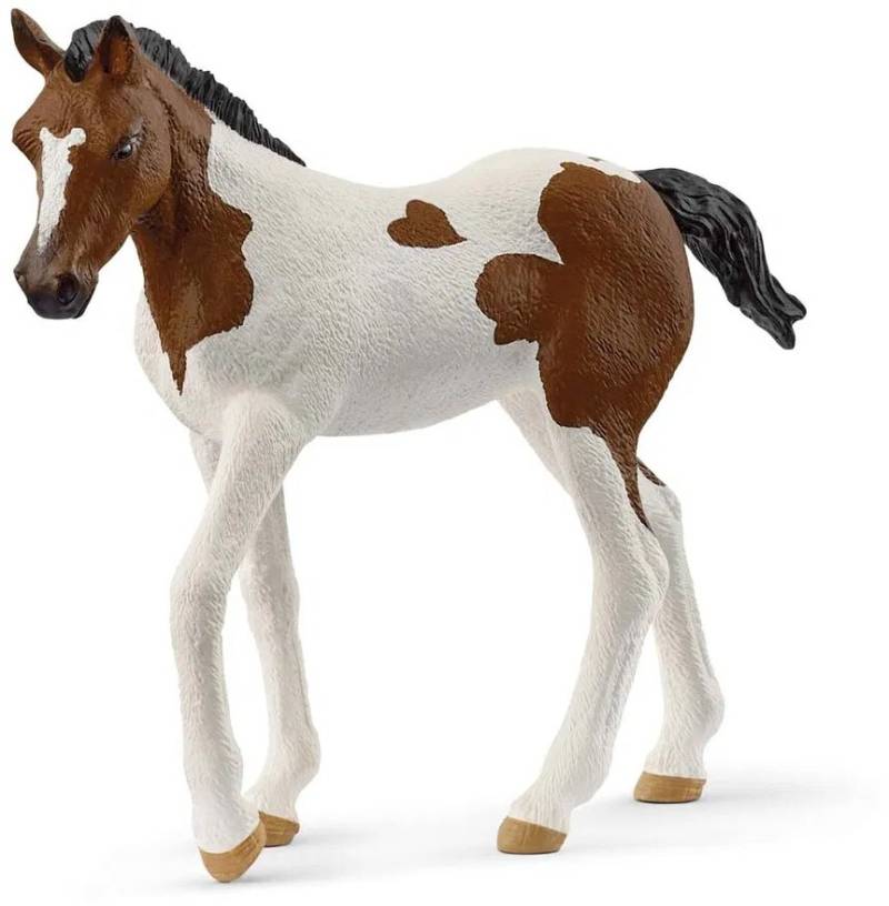 Schleich 14899 Horse Club Paint Horse Fohlen von Schleich