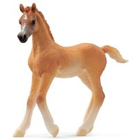Araber Fohlen Araber Fohlen von Schleich GmbH