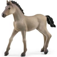Criollo Definitivo Fohlen Criollo Definitivo Fohlen von Schleich GmbH