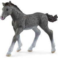 Trakehner Fohlen Trakehner Fohlen von Schleich GmbH