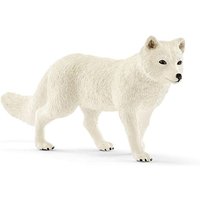 Schleich Wild Life Polarfuchs 7,5cm Schleich Wild Life Polarfuchs 7,5cm von Schleich