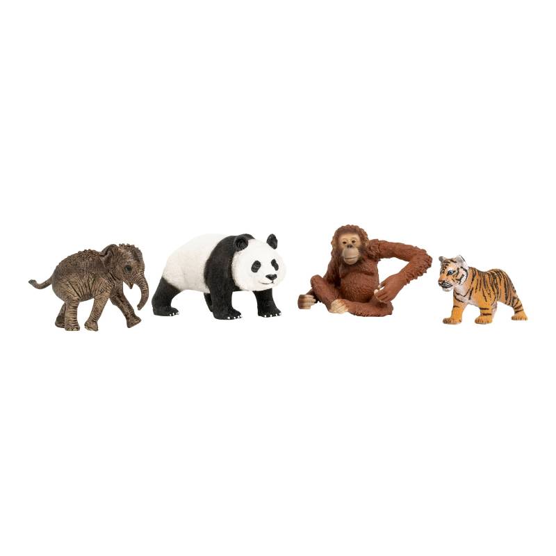 Schleich Wild Life Wild Life Asien Starter-Set von Schleich