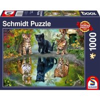 SCHMIDT SPIELE 57392 PUZZLE 1000 Teile - Dream Big! von Schmidt Spiele