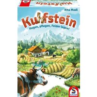 Schmidt Spiele - Kuhfstein von Schmidt Spiele