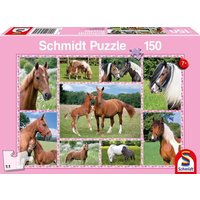 Schmidt 56269 - Puzzle, Pferdeträume, Kinderpuzzle von Schmidt Spiele