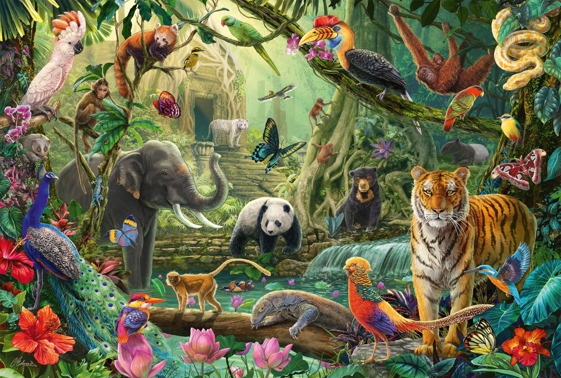 Schmidt Spiele Bunte Tierwelt im Dschungel 100 Teile Puzzle Schmidt-Spiele-56485 Schmidt Spiele Bunte Tierwelt im Dschungel 100 Teile Puzzle Schmidt-Spiele-56485 von Schmidt Spiele