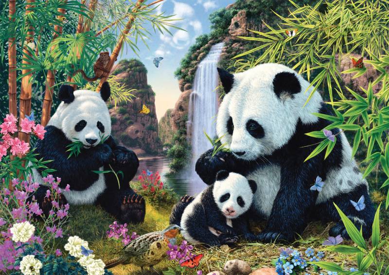 Schmidt Spiele Pandafamilie am Wasserfall 500 Teile Puzzle Schmidt-Spiele-57380 von Schmidt Spiele